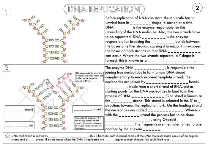 Dna vs rna and protein synthesis updated answer key pdf