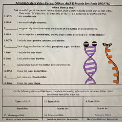 Dna vs rna and protein synthesis updated answer key pdf