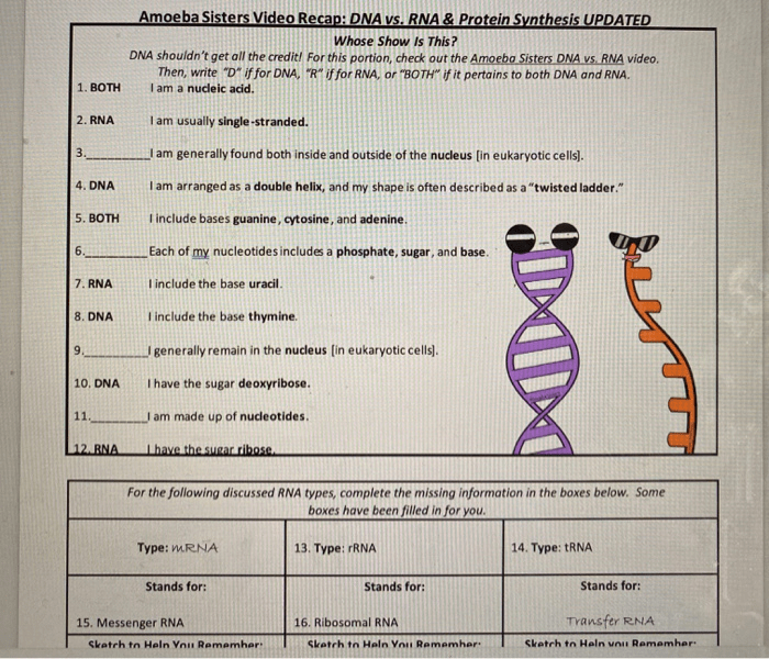 Dna vs rna and protein synthesis updated answer key pdf