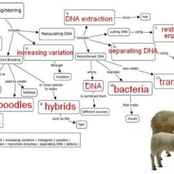 Biotechnology and genetic engineering webquest answer key pdf